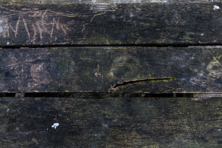 dark wood planks wit mossの写真素材