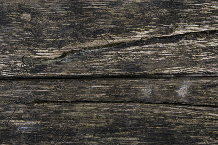 dark wood planks wit mossの写真素材