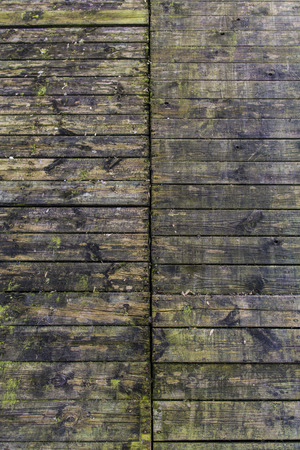 old wood planks with mossの写真素材