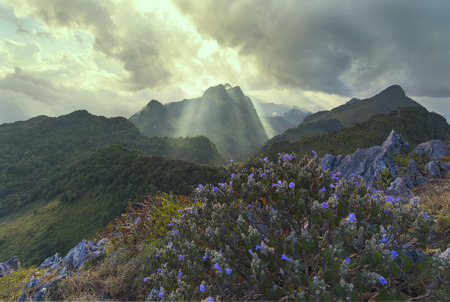 Doi Luang Chiang Dao in Chiang Mai Thailand.の写真素材