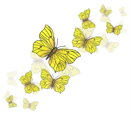 Yellow butterflies vector backgroundのイラスト素材