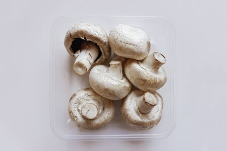 mushrooms isolated on white backgroundの写真素材