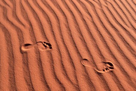 Traces in desert sand, Wadi Ramの写真素材