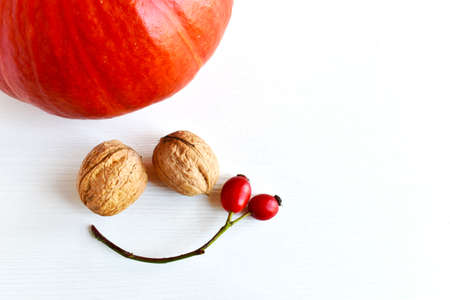 Pumpkins, walnuts, red rose hips, a composition resembling a smiling face, autumn fruits of nature on a white background.の写真素材