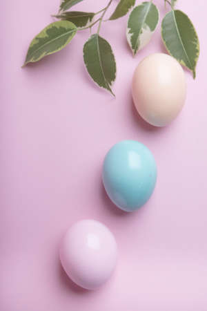 Easter bunny and color eggs on pink backgroundの写真素材