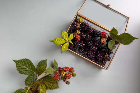 Blackberry and green leaves in glass box on a green background. Top viewの写真素材