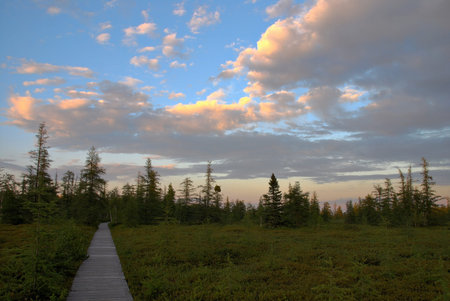 A boardwalk leads through a marsh in the twilight.  The setting sun lights up the clouds.