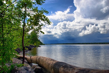 The sun shines on an uprooted tree lying on the shore.  A storm is brewing in the distance.の写真素材