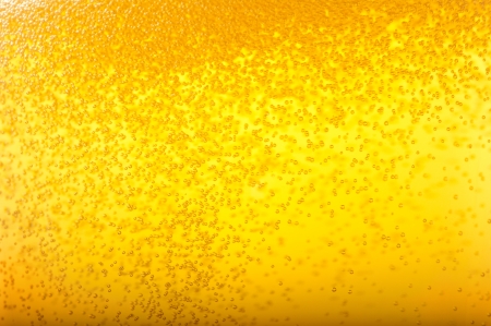 Angered by the bubbles in beer.の写真素材