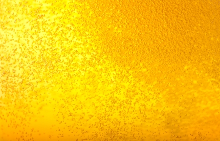 Angered by the bubbles in beer.の写真素材