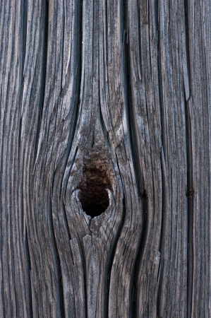 The wooden board in the section.の写真素材