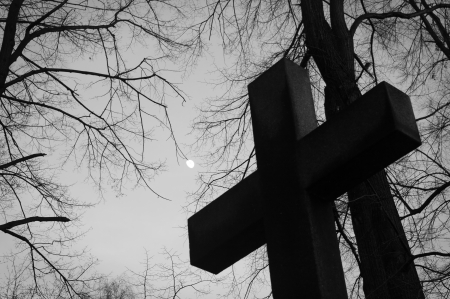 The cross in the cemetery and branches reaching the sky.の写真素材