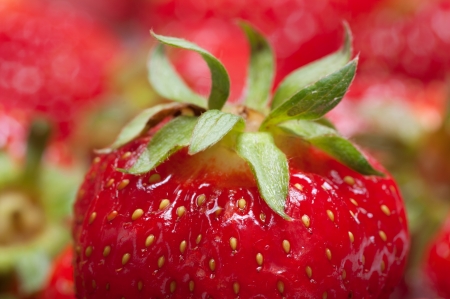 Strawberry with other strawberries.の写真素材