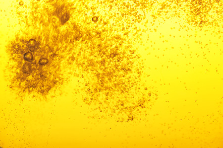 Delicious golden beer poured into a pint.の写真素材