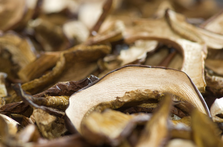 Dried edible mushrooms have an interesting structure. They are used as a seasoning or ingredient for many dishes.の写真素材