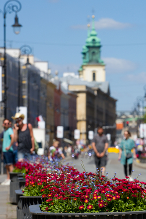 Flowers in a pot near the road to the Old Town in Warsaw.の写真素材