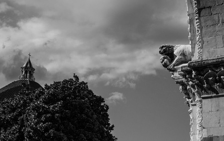 Detail of Lucca cathedral with a lion and a tree and a church dome in the backgroudの写真素材