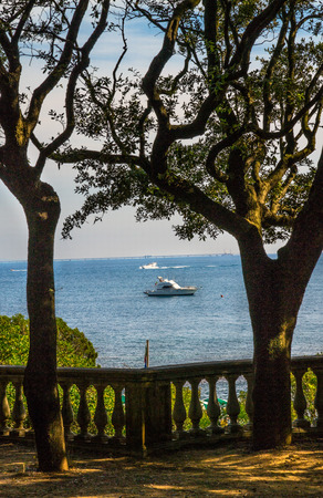 Boat on Tyrrenian sea in Tuscany between two trees in a sunny dayのeditorial素材