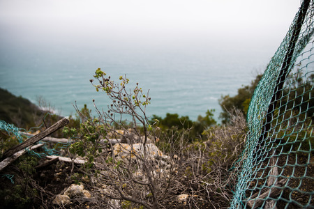 Detail of the contrast between man and nature from a view point in the South cost of Tuscanyの写真素材