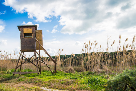 Birdwatching post in the middle of a wetland in Tuscanyの写真素材