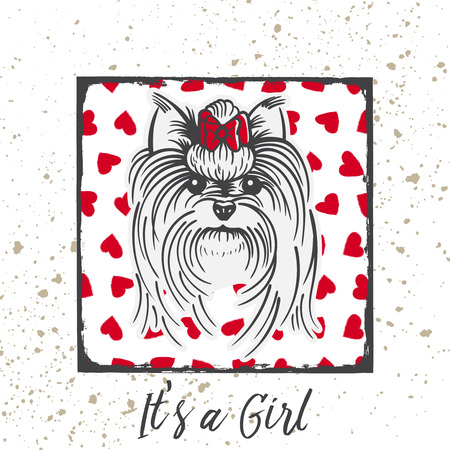 Yorkshire Terrier with a bow.Hand drawn portrait with the inscription-It s a Girlのイラスト素材
