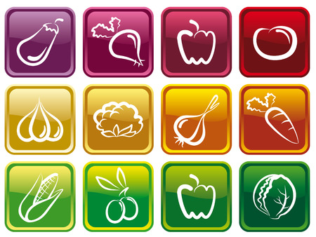 Vegetable buttonsのイラスト素材
