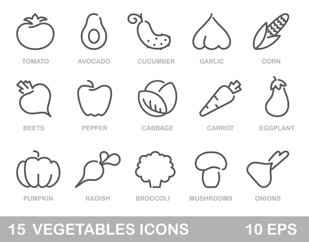 Contour stylized icons of vegetables, mushrooms and avocadoのイラスト素材