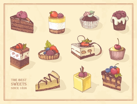 Sketches of scrumptious cupcakes, berry pie and chocolate tiered cake, decorated by butter cream, fresh strawberries and cherriesのイラスト素材