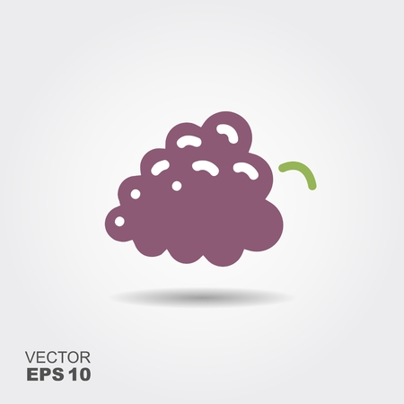 Illustration bunch of grapes. Flat icon with shadowのイラスト素材