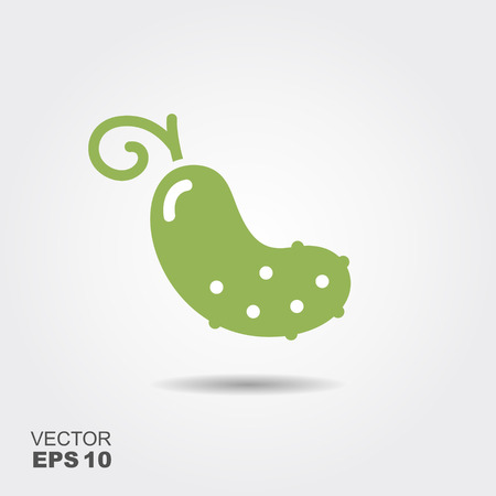 Illustration of cucumber flat icon with shadowのイラスト素材