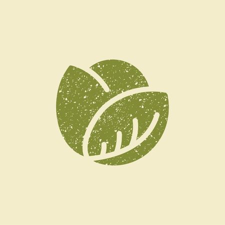Stylized flat icon of a cabbage.のイラスト素材