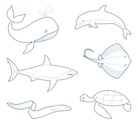 Marine life. Whale, dolphin shark stingray eel turtle.のイラスト素材