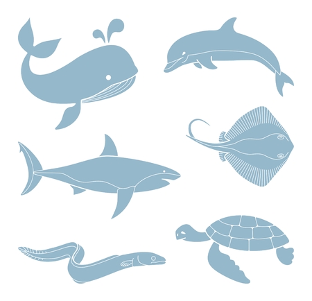Marine life. Whale, dolphin shark stingray eel and turtle.のイラスト素材
