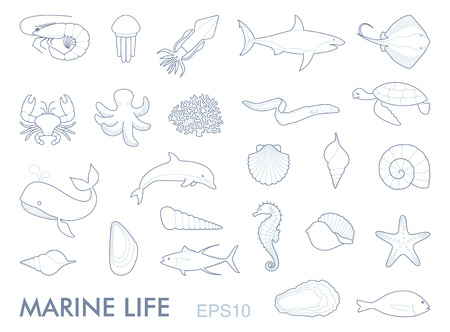 Marine life contour icons vector illustration.のイラスト素材