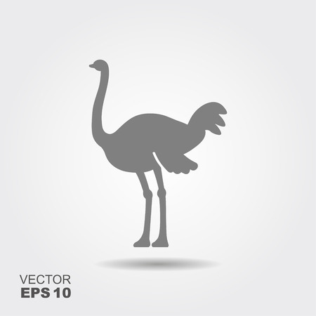 The gray stylized silhouette of an ostrich on a light backgroundのイラスト素材