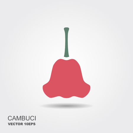 Tropical Fruits, Illustration of Hand Drawn Sketch Cambuci or Campomanesia Phaea Fruit Isolated on White Background.のイラスト素材