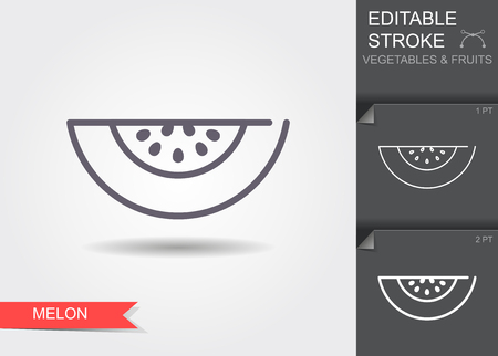 Isolated simple vector Outline icon with editable stroke. Icon melon with shadowのイラスト素材