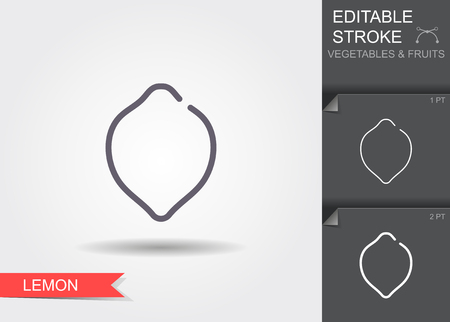 Lemon. Outline icon with editable stroke. Linear symbol of the food with shadowのイラスト素材