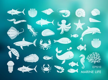 Marine life icons. Silhouettes of sea inhabitants on the Colorful background with defocused lightsのイラスト素材