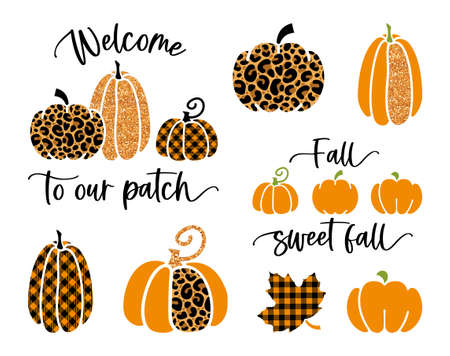Stylized pumpkins with a trendy glamorous print with inscriptionsのイラスト素材