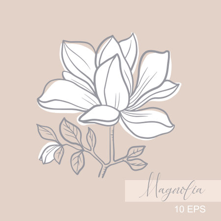 Vector graphic linear illustration of a sprig of magnolia flowersのイラスト素材