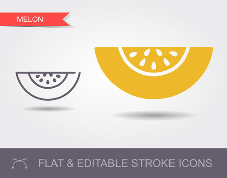 Isolated simple vector Outline icon with editable stroke. Icon melon with shadow and flat iconのイラスト素材