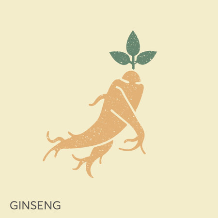 Ginseng logo design vector template. Ginseng root in vintage styleのイラスト素材