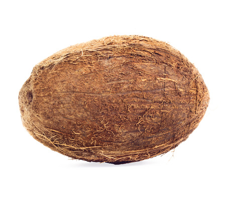 Nice exotic coconut isolated on white backgroundの写真素材