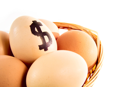 Nice eggs in basket with dollar sign on white isolated backgroundの写真素材