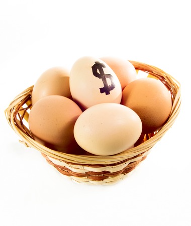 Nice eggs in basket with dollar sign on white isolated backgroundの写真素材