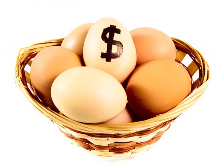 Nice eggs in basket with dollar sign on white isolated backgroundの写真素材