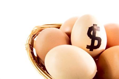 Nice eggs in basket with dollar sign on white isolated backgroundの写真素材