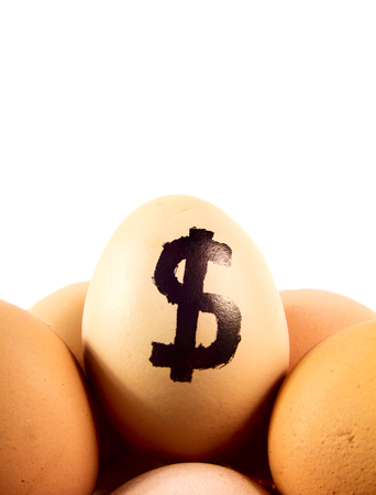 Nice eggs in basket with dollar sign on white isolated backgroundの写真素材