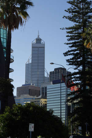 Urban buildings framed in trees presenting harmonious city view の写真素材